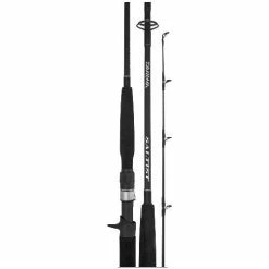 Daiwa Saltist BW Rod